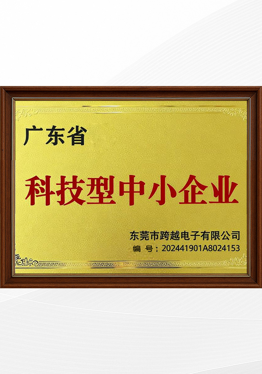 Guangdong Province's technology-based small and medium-sized enterprises